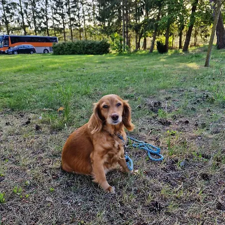 Landidyll Monte Gristow Mesekenhagen